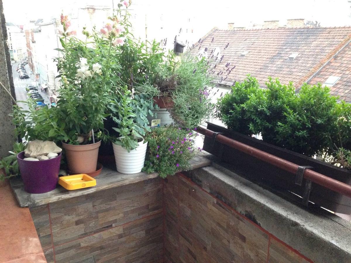 Lonyay Street Apartment Budapest Exterior photo